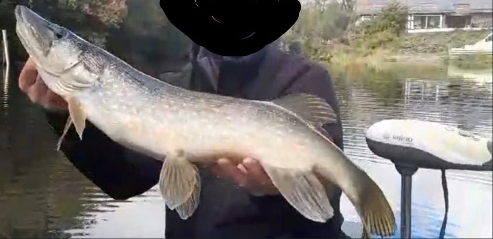 Vente Terrain Terrain avec étang poissonneux Lit-et-mixe