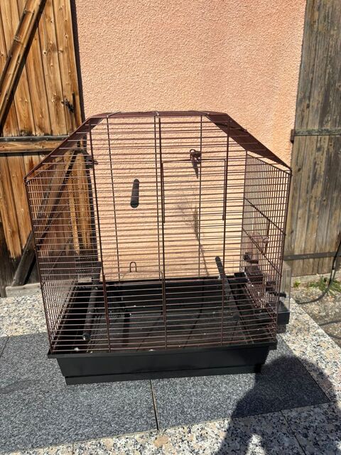 Cage oiseaux 40 11000 Carcassonne