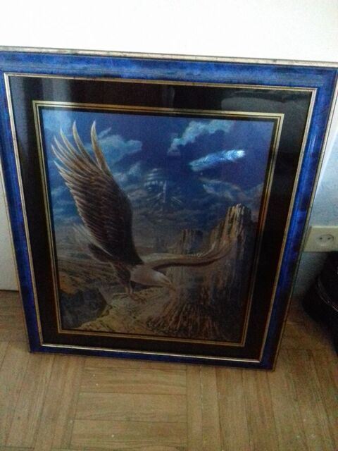 cadre bon état aigle 15 Ancenis (44)