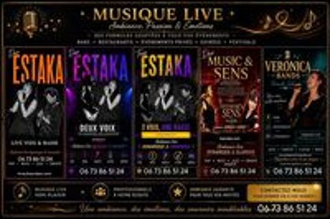   Prestations musicales divers styles 