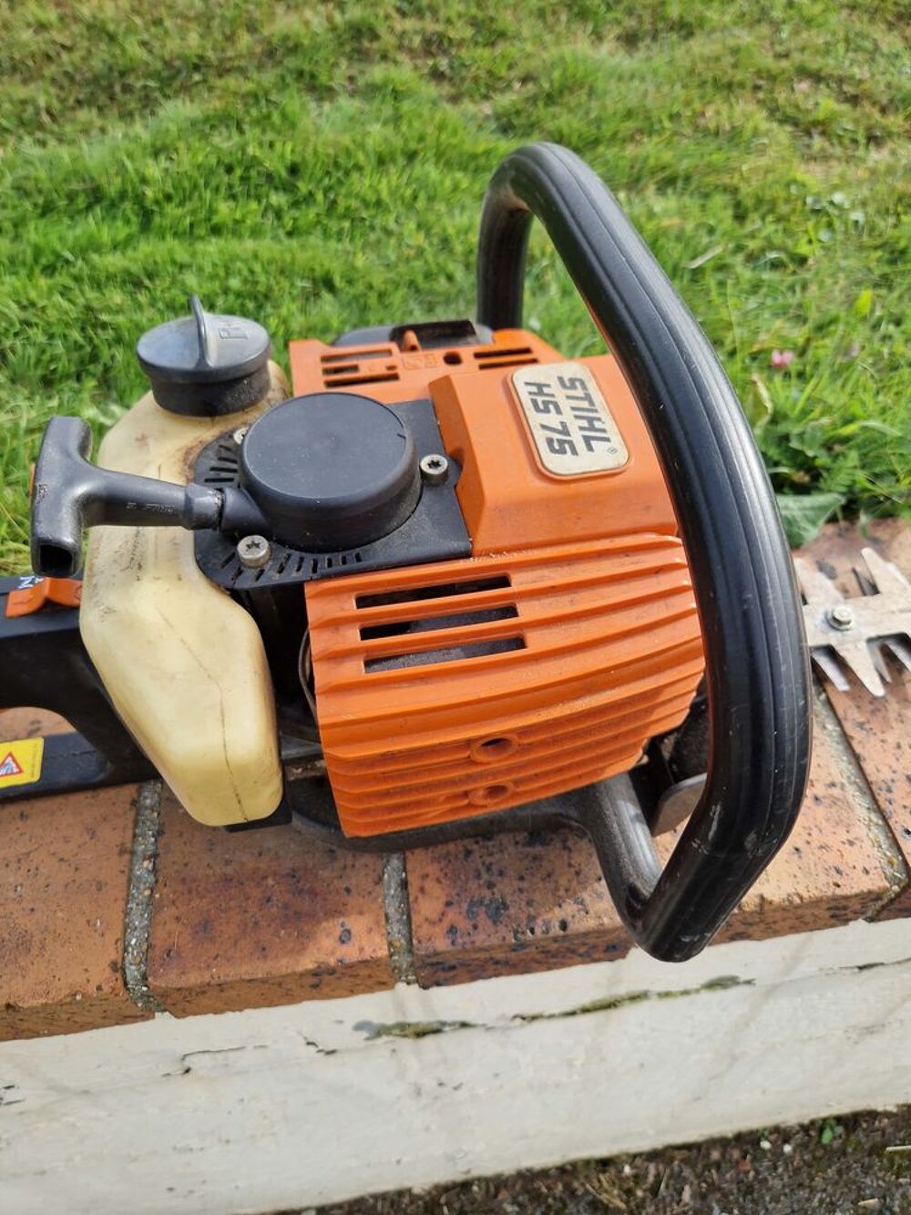 Taille haie thermique Jardin