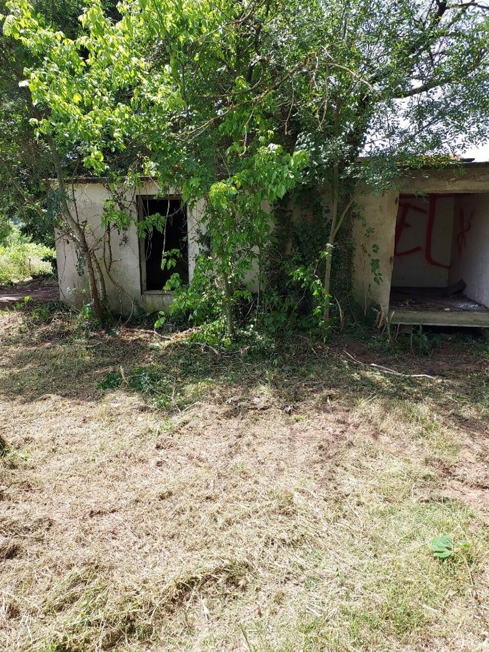 Vente Terrain Mazet 50m2 sur 1 hectare Lézignan-la-cèbe