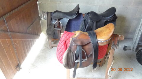 matriel chevaux 200 Marolles-les-Braults (72)