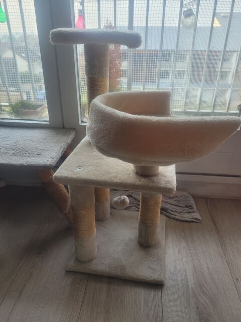 Arbre  chat 95150 Taverny