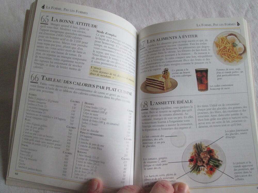 Lot 3 petits livres 101 trucs et conseils Livres et BD
