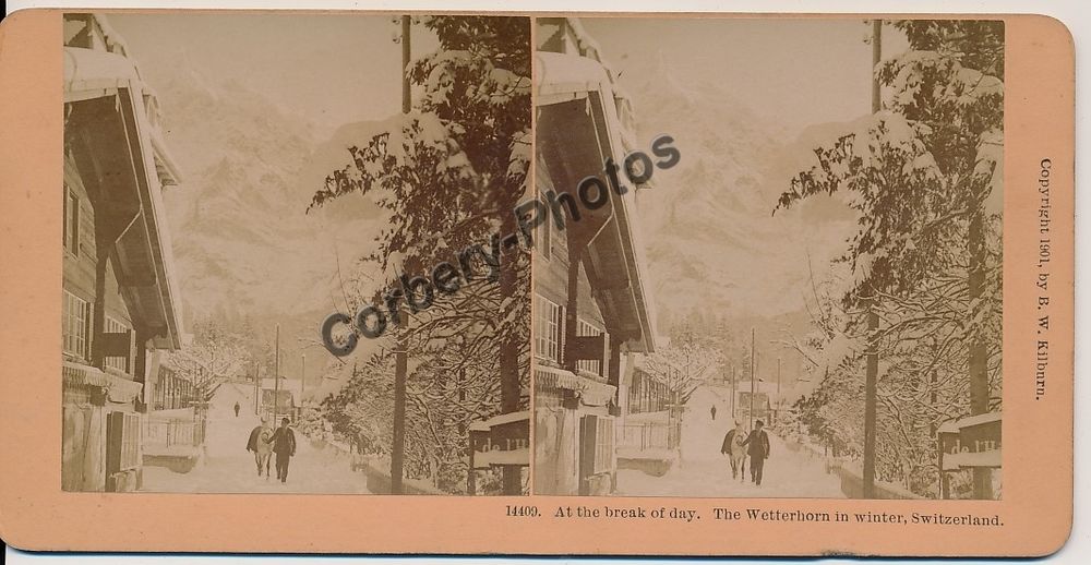 STEREOVIEW SUISSE The Wetterhorn in Winter Photo St&eacute;r&eacute;o 1880 