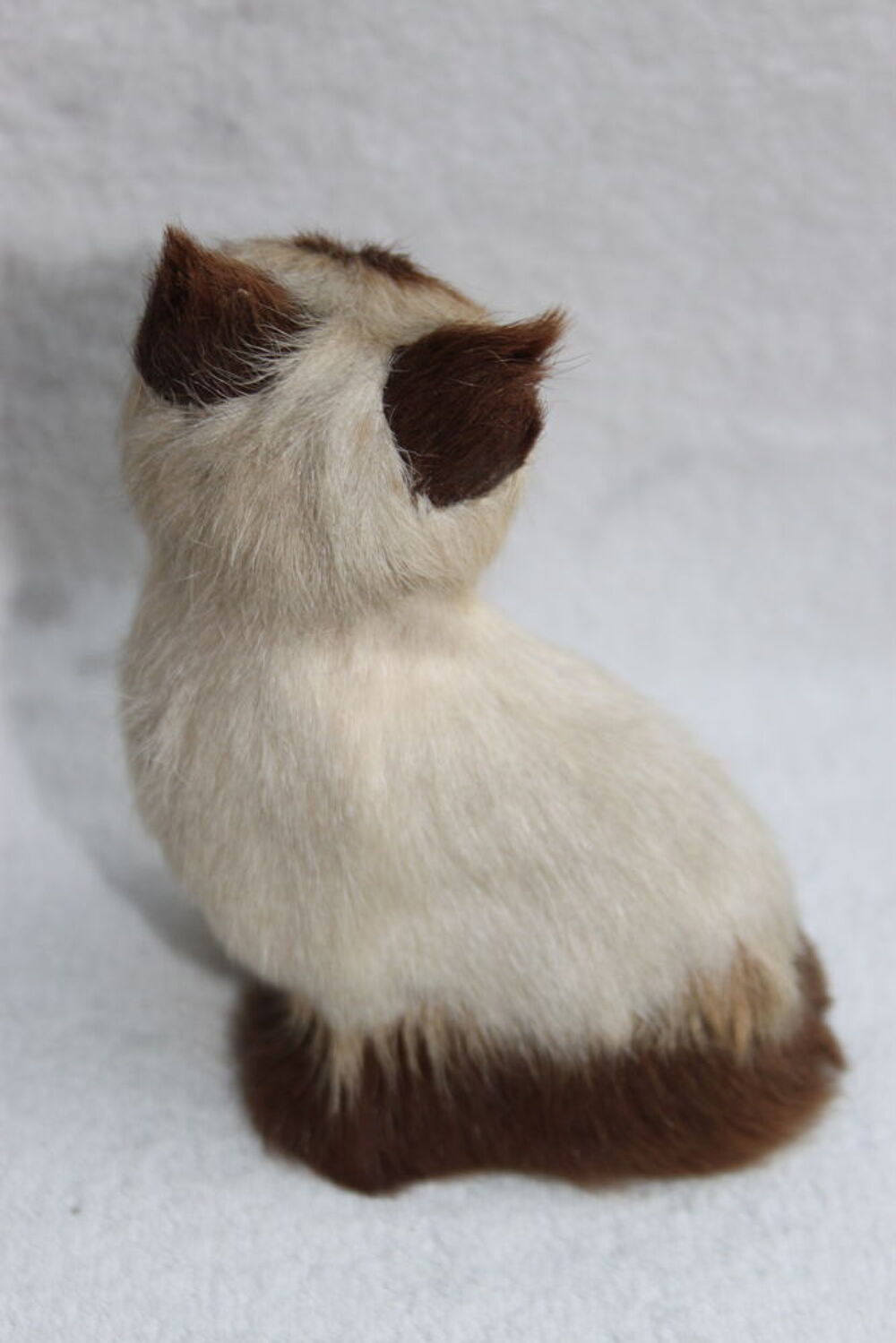 Peluche chat Jeux / jouets