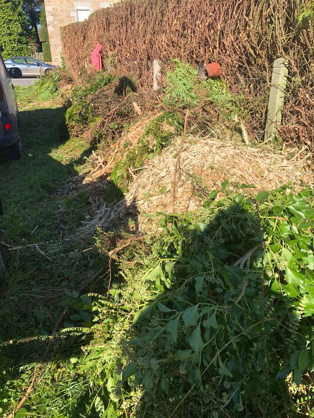 V&eacute;g&eacute;taux Jardin