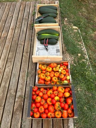  Terrain � vendre 1075 m�