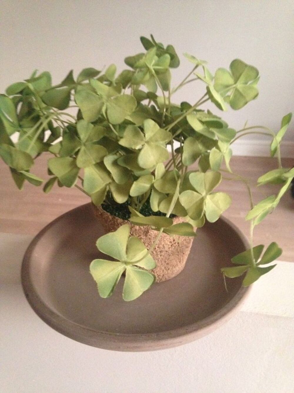 plante artificielle Décoration