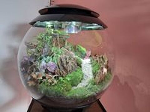   plantarium 