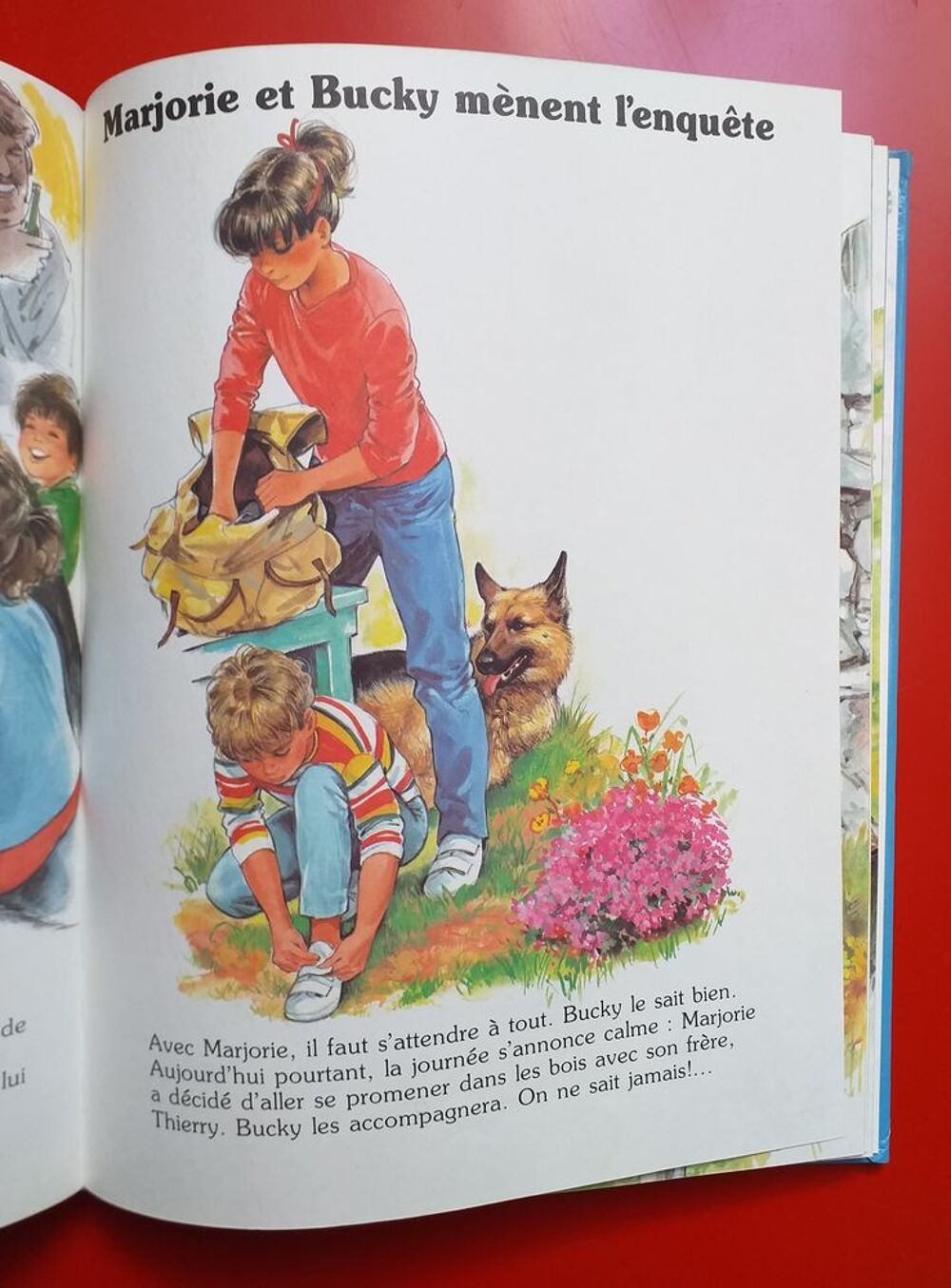 MARJORIE et BUCKY Vive l'aventure (8 titres) Hemma &eacute;ditions Livres et BD