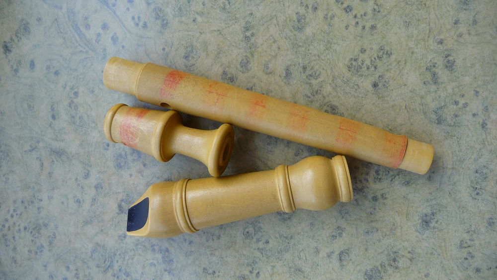 Flute &agrave; bec classique Jeux / jouets