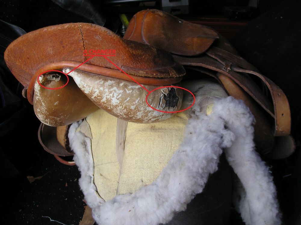 Equipement d'&eacute;quitation selle compl&egrave;te en cuir Sports