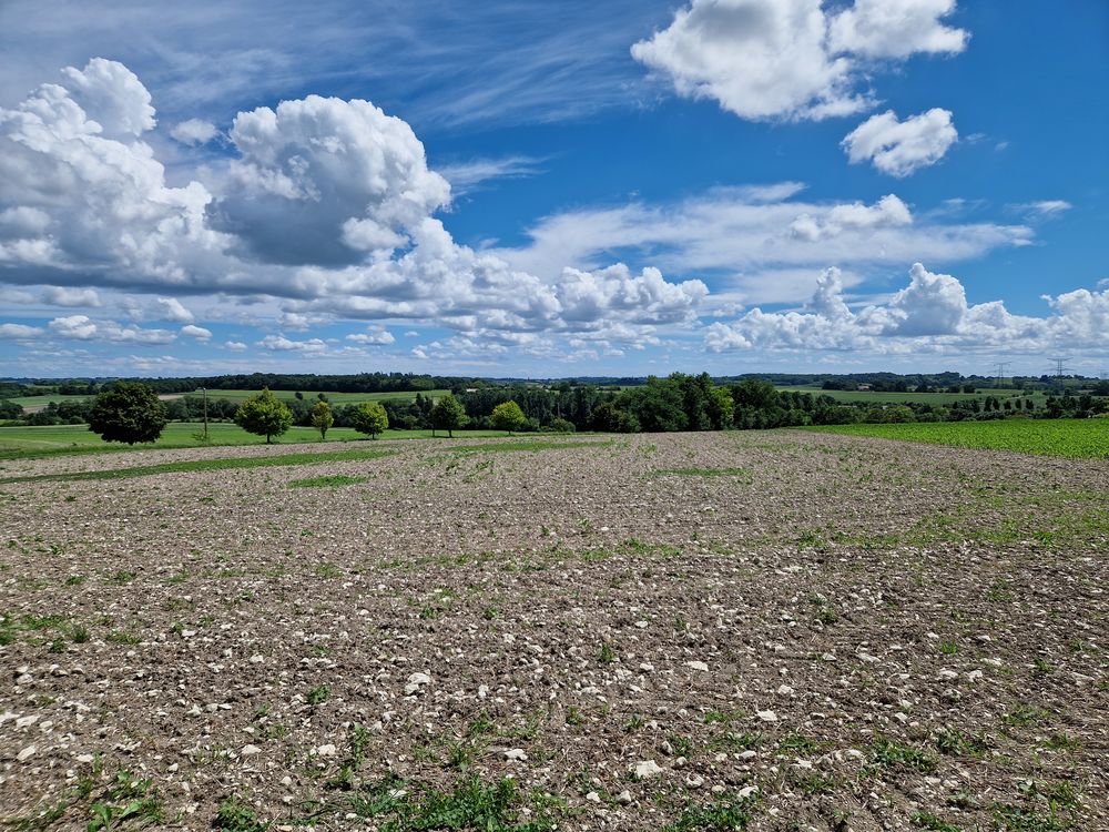 Vente Terrain 2 parcelles 1670m2 chacune CU 22500€ SEMOUSSAC 17150 Semoussac