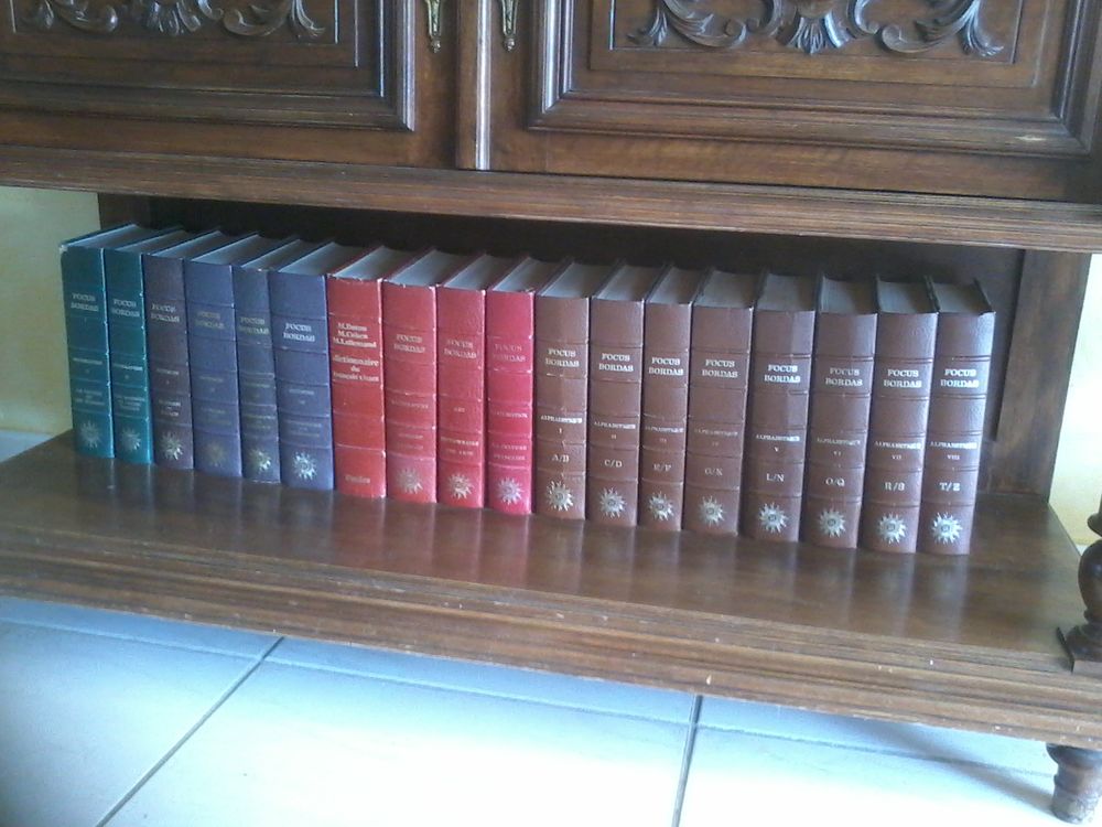 Encyclopedie Dictionnaire Focus Bordas 18 volumes Livres et BD
