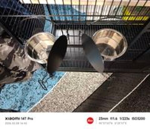   Cage perroquet  