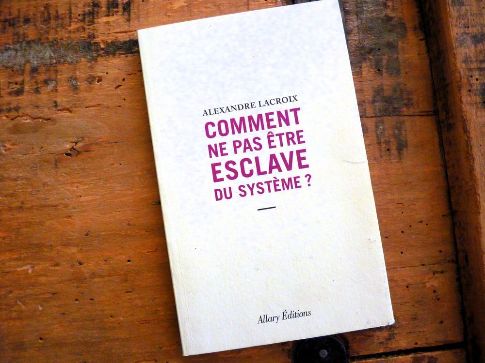 livre Livre comment ne pas &ecirc;tre esclave du syst&egrave;me TBE Livres et BD