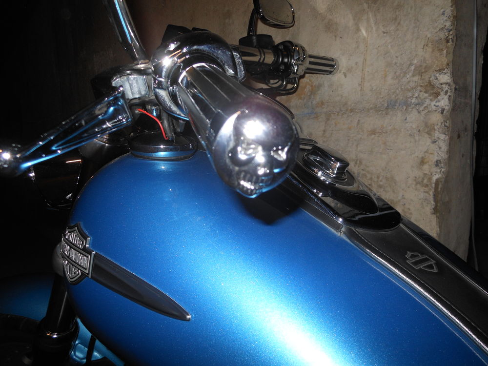 HARLEY-DAVIDSON 2011 occasion 06800 Cagnes-sur-Mer