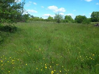  Terrain � vendre 11000 m� All�gre-les-fumades