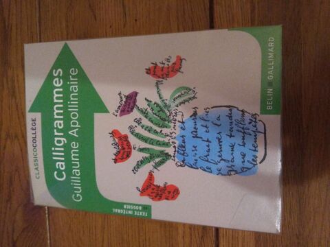 Calligrammes - Guillaume Apollinaire 1 Wancourt (62)