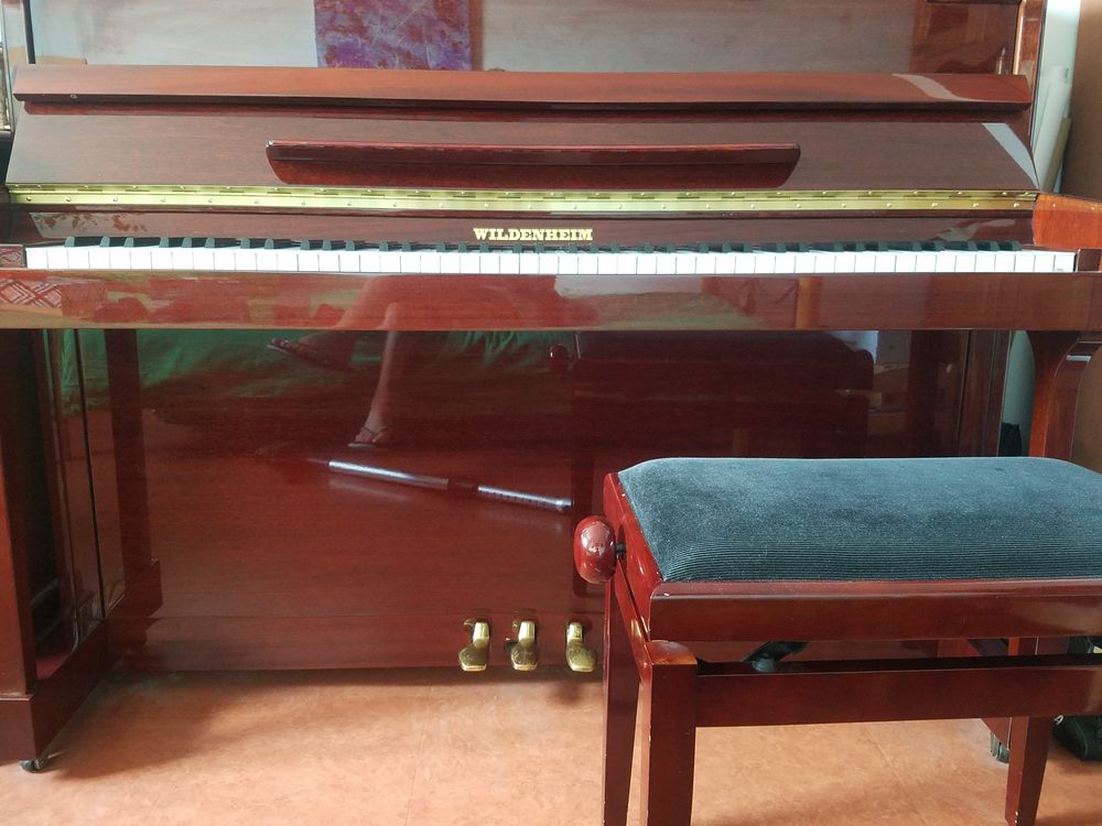 Cause d&eacute;m&eacute;nagement Instruments de musique