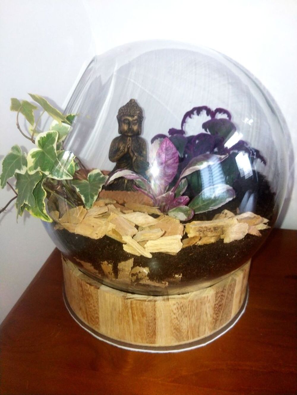 Boulle plante Décoration