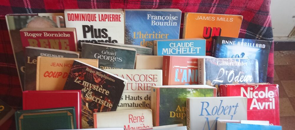 Romans et livres de poche Livres et BD