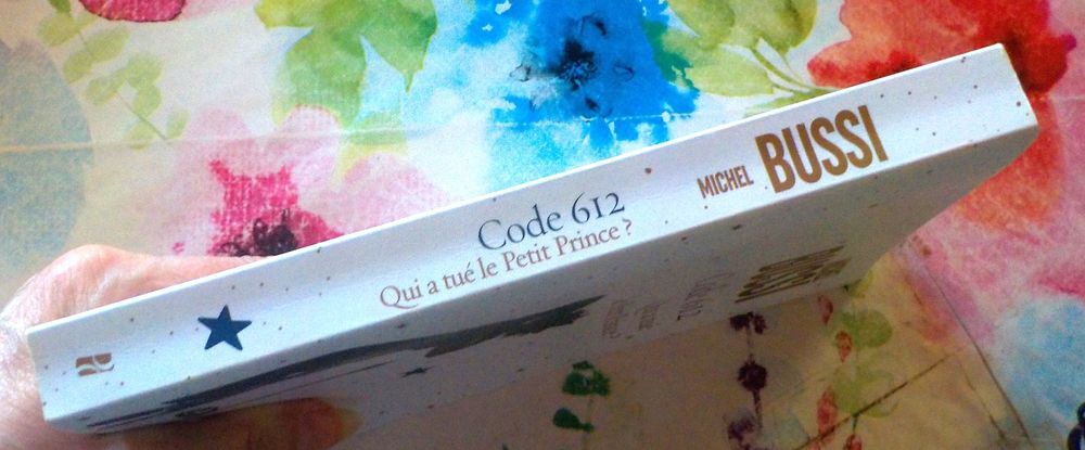 CODE 612 Qui a tu&eacute; le Petit Prince ? de Michel BUSSI Livres et BD