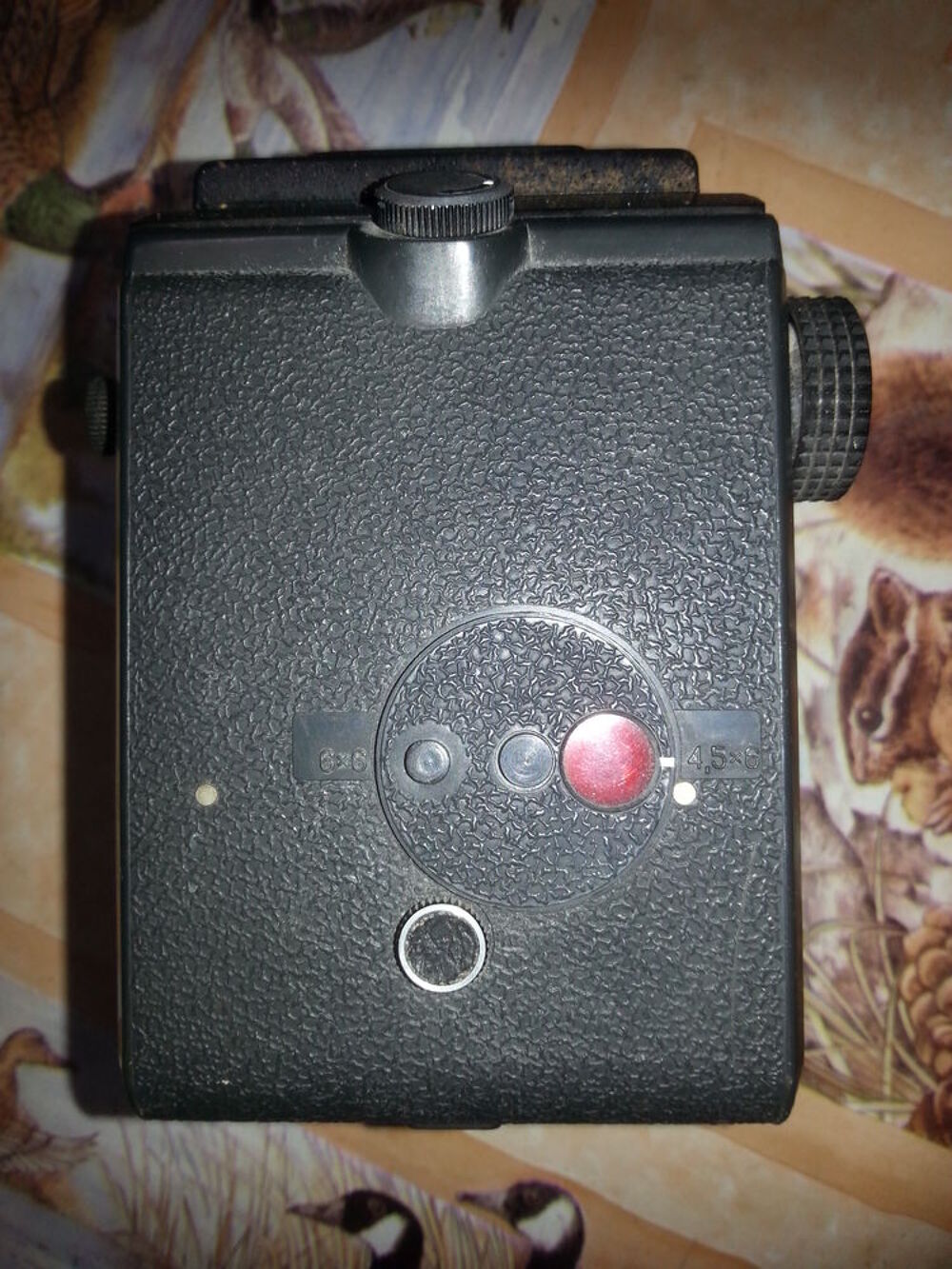 Lubitel 166 