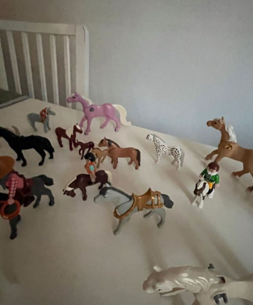 Playmobile Jeux / jouets