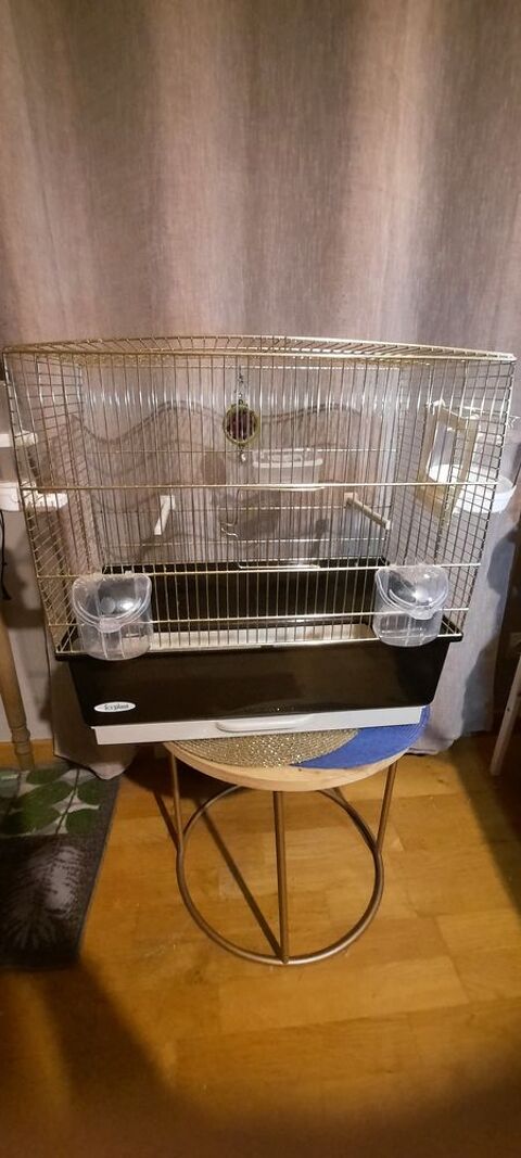Magnifique cage dor&eacute;e ! 80 94320 Thiais