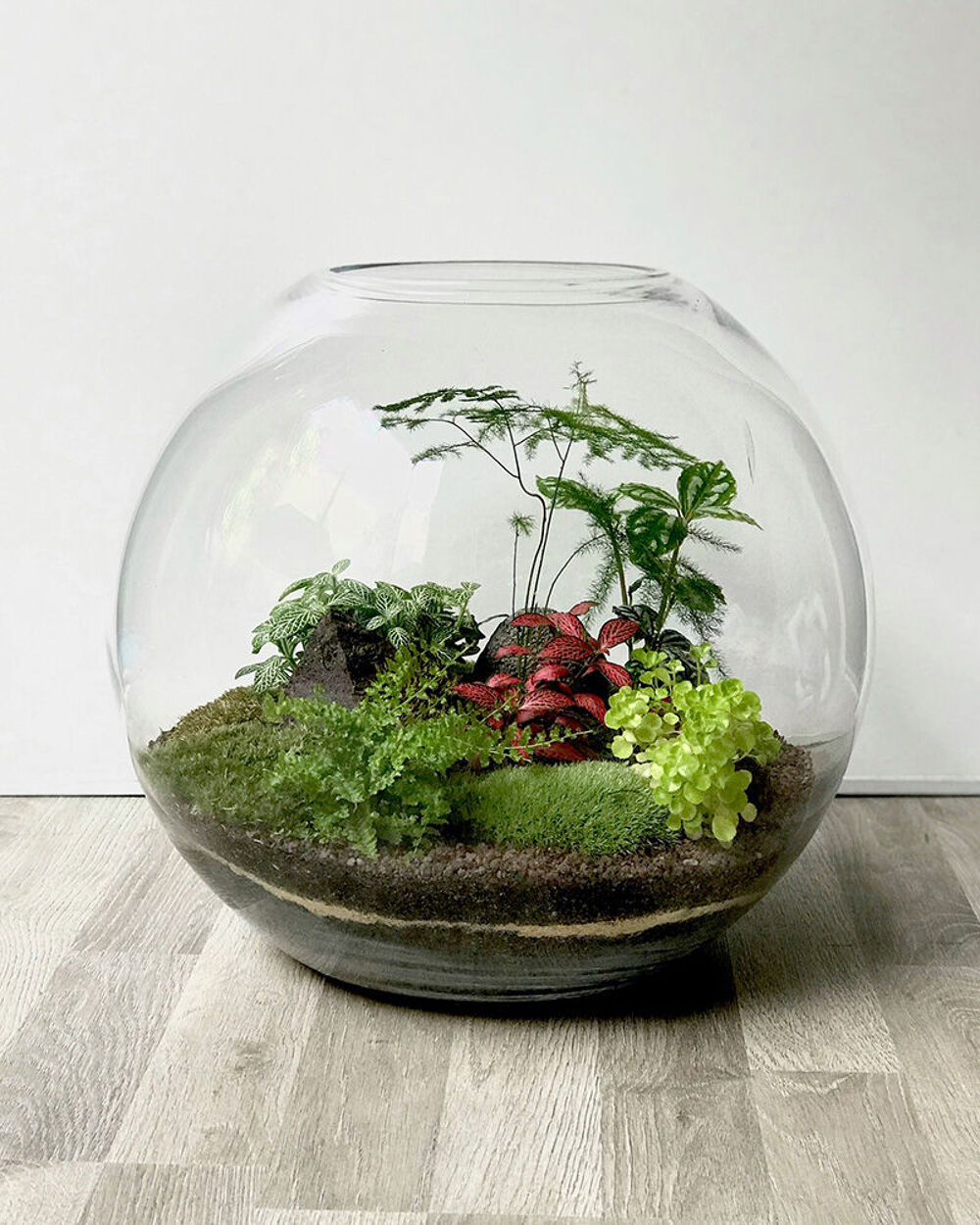 Seau &agrave; glace, champagne ou terrarium en verre Cuisine