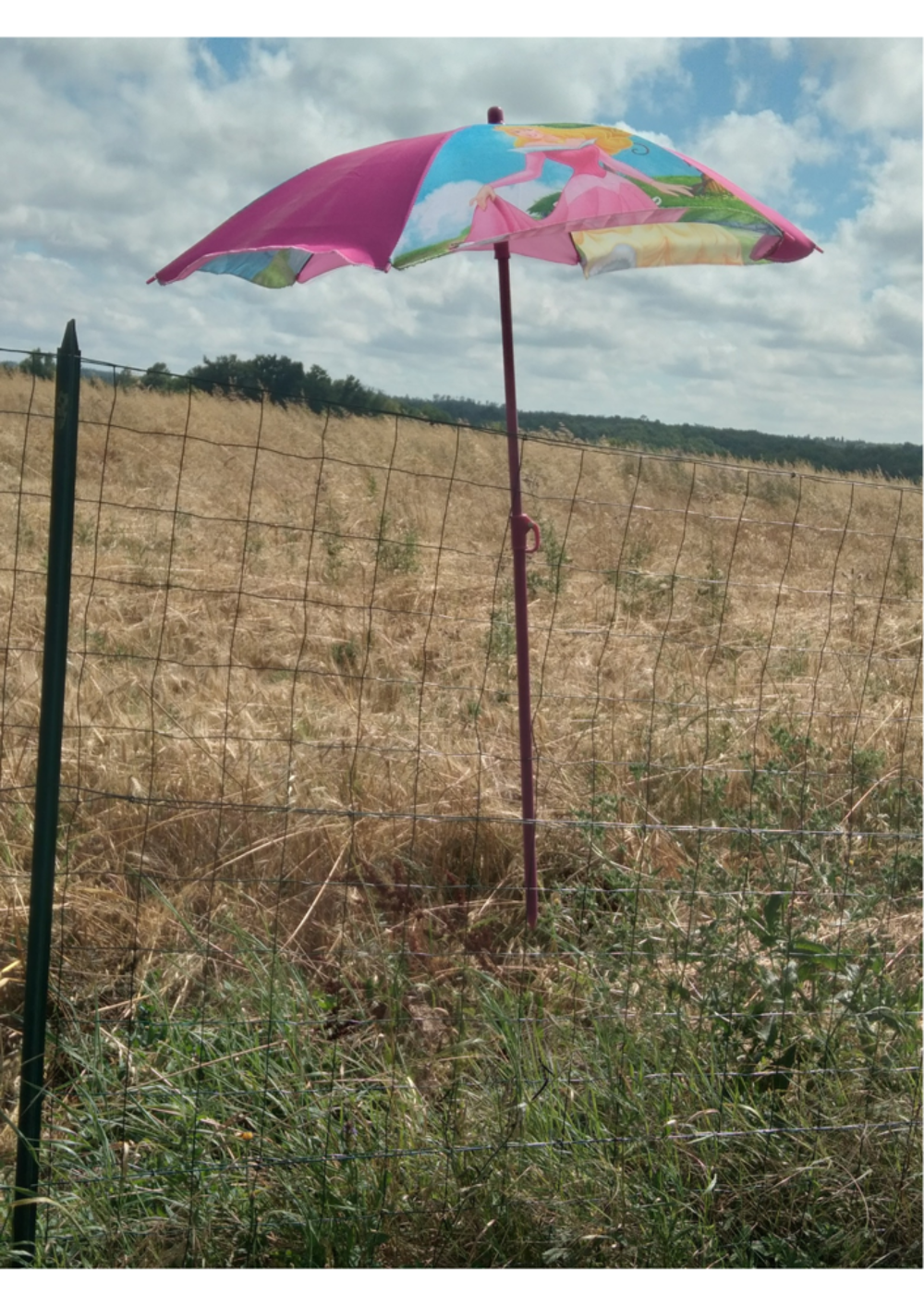 Parasol barbie Mobilier enfants