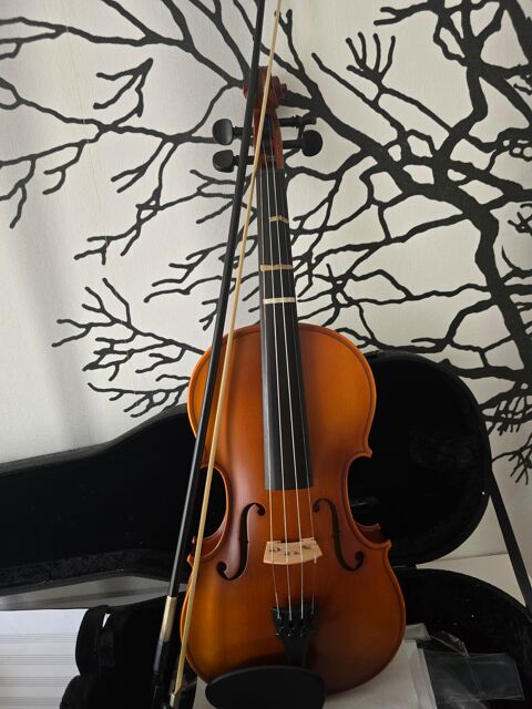 Violon 4/4 250 Boust (57)