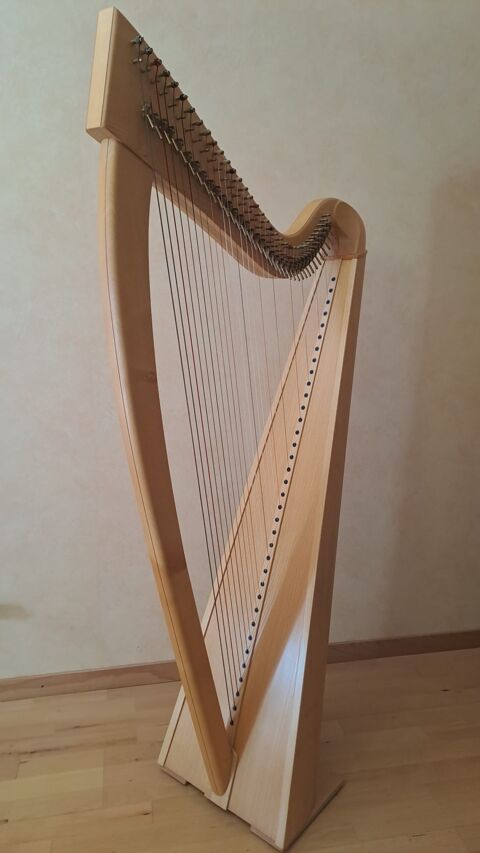 Grande Harpe Celtique 3800 Suisse