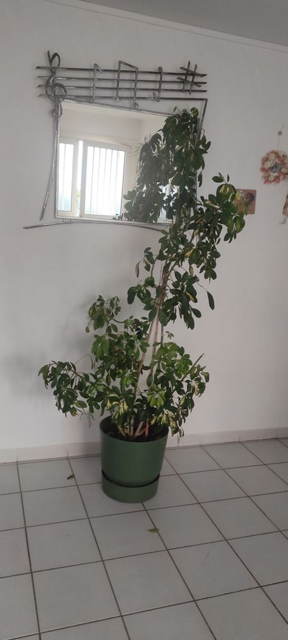 plantes int&eacute;rieures et ext&eacute;rieures + aquarium Jardin