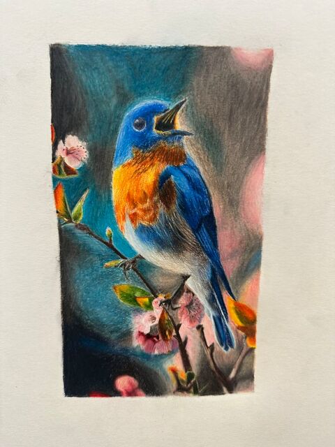 Cours de dessin, de peinture, pastel et aquarelle 0 75017 Paris