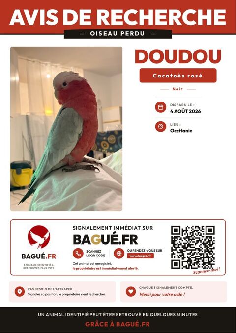 Cacato&egrave;s Rosalbin perdu 0 30000 Nîmes