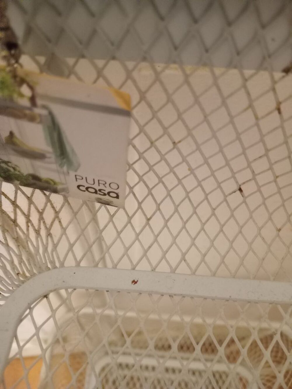 Resserre &Agrave; L&eacute;gumes Puro Casa Meubles