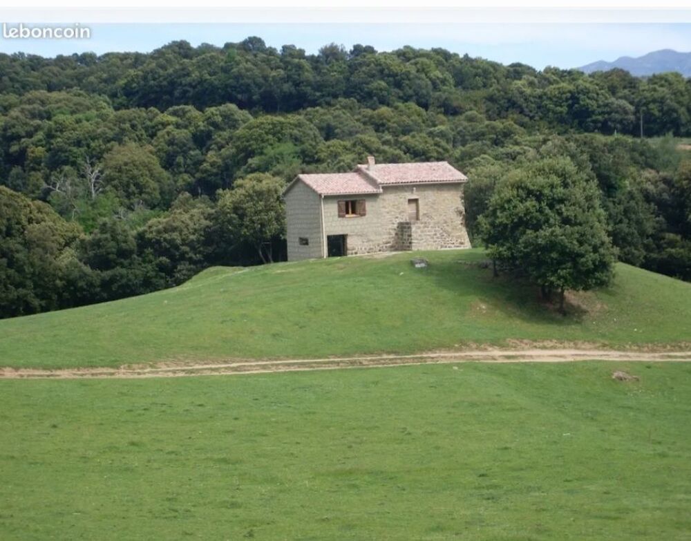   Maison tranquille avec jardin de 35 000 m2  Corse, Grosseto-Prugna (20128)