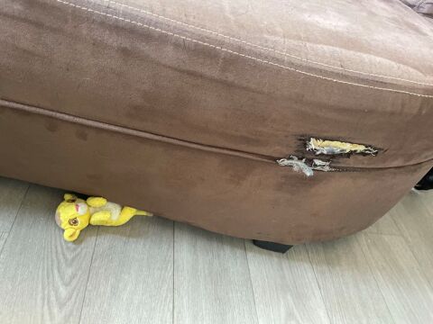 canap� 60 Le Mans (72)