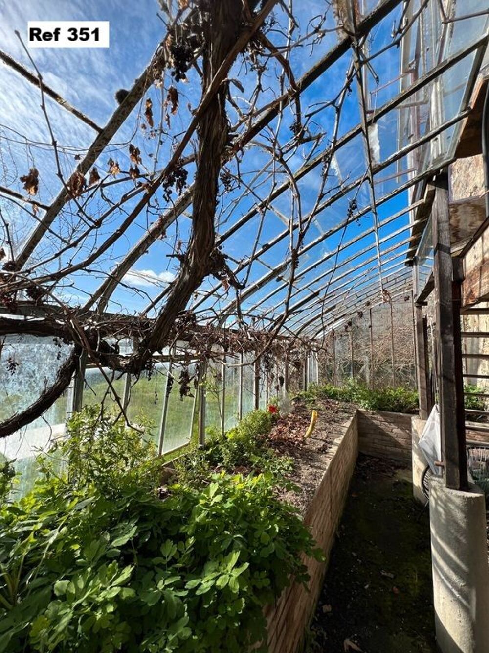 Serre ancienne en fer fin XIXe d&eacute;but XXe &agrave; restaurer Jardin