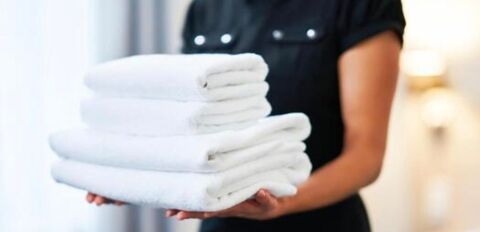 Possibilit&eacute; de prestations de m&eacute;nage ou repassage 0 33800 Bordeaux