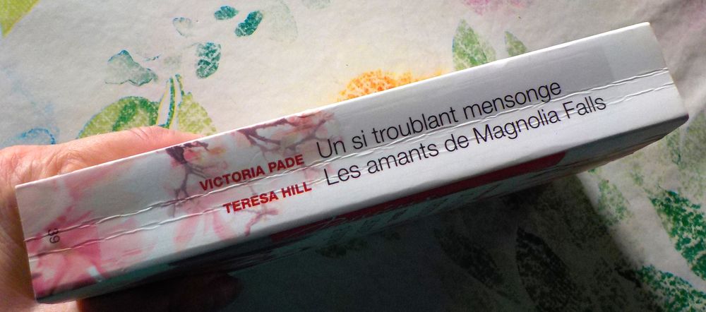 HARLEQUIN PASSIONS N&deg;39 Un si troublant mensonge/Les amants Livres et BD