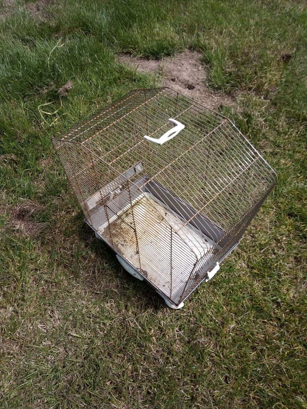 Cage &agrave; Oiseaux Meubles
