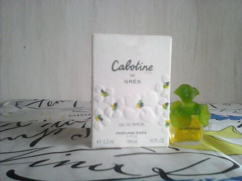 MINIATURE DE PARFUM 6 Trouy (18)