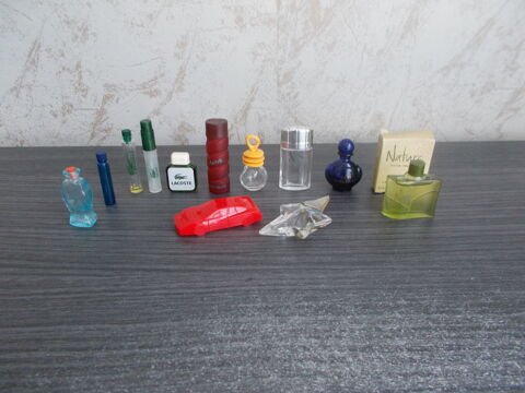 Miniatures de parfum 5 Vandœuvre-lès-Nancy (54)