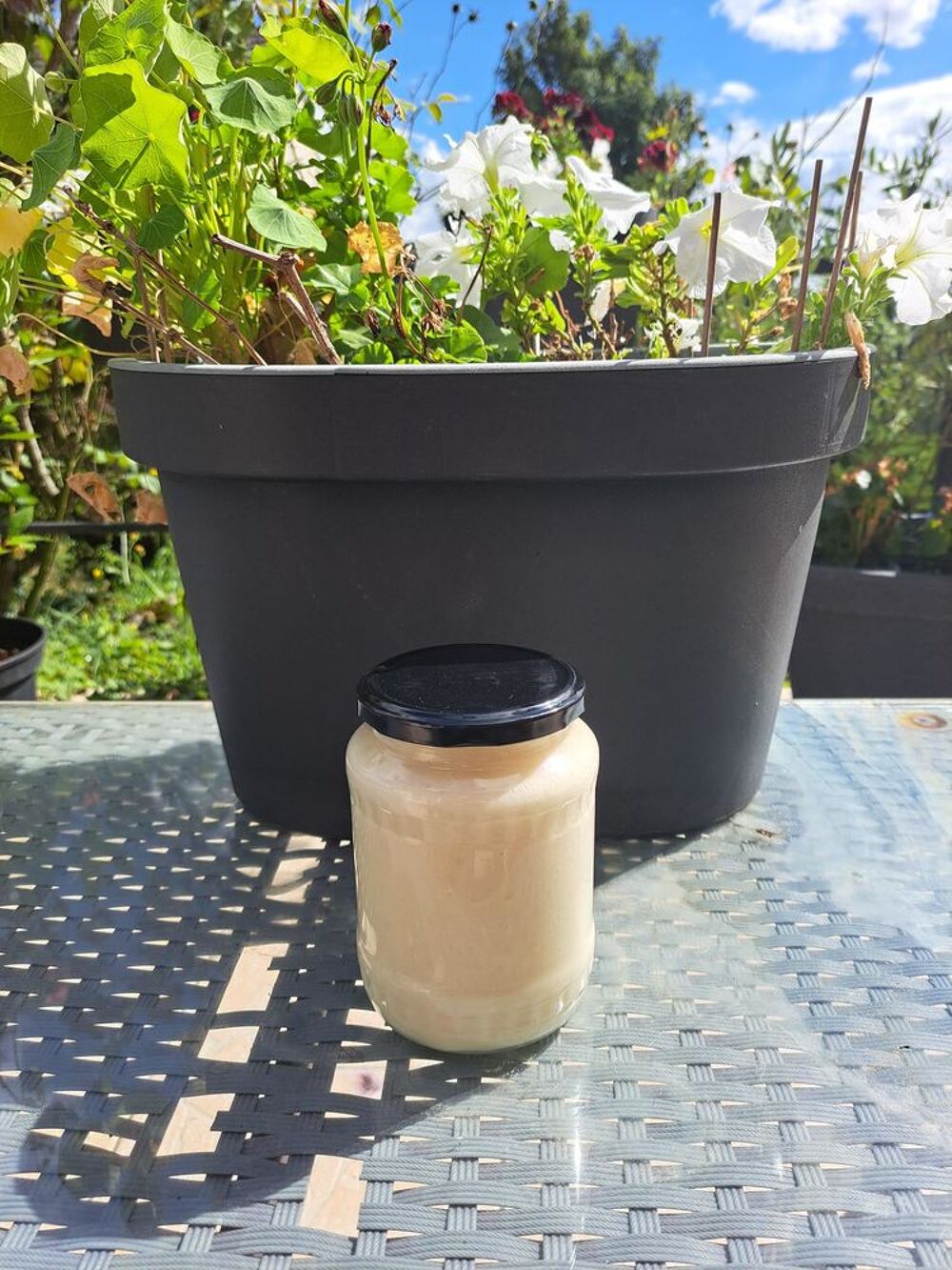 MIEL COLZA POTS 1 KG Jardin