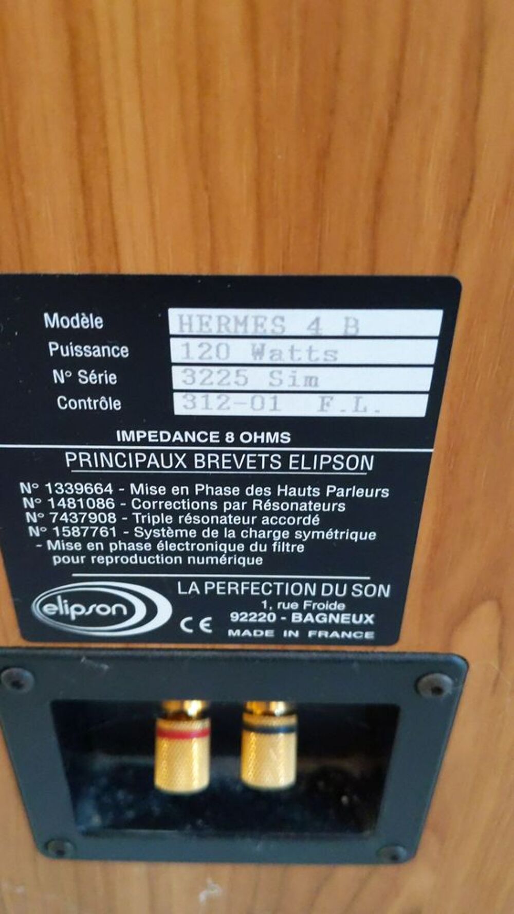 Enceinte Elipson 120 watts Audio et hifi
